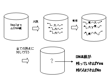 }11 step5DNA