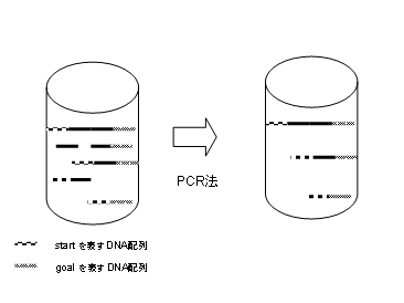 }10 step3DNA