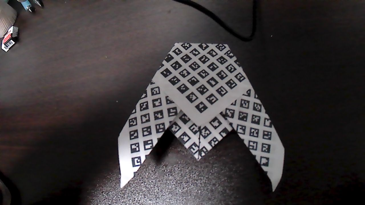 図4.5 Training5で使用したセミの折り紙