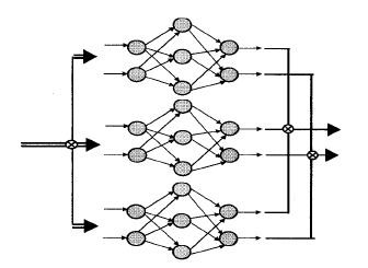 複合型ネットワークの模式図（出典：藤木[5], 2009）